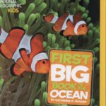 Finding dory - first big book of the ocean