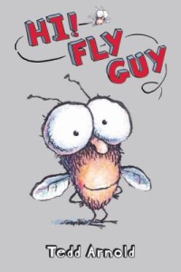 fly guy