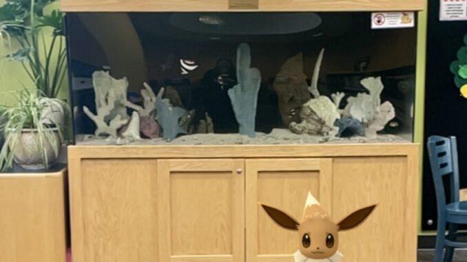 A photo of Eevee from Pokemon Go standing in front of the fish tank at Algonquin Area Library.